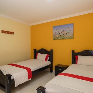 Habitación con Cama King